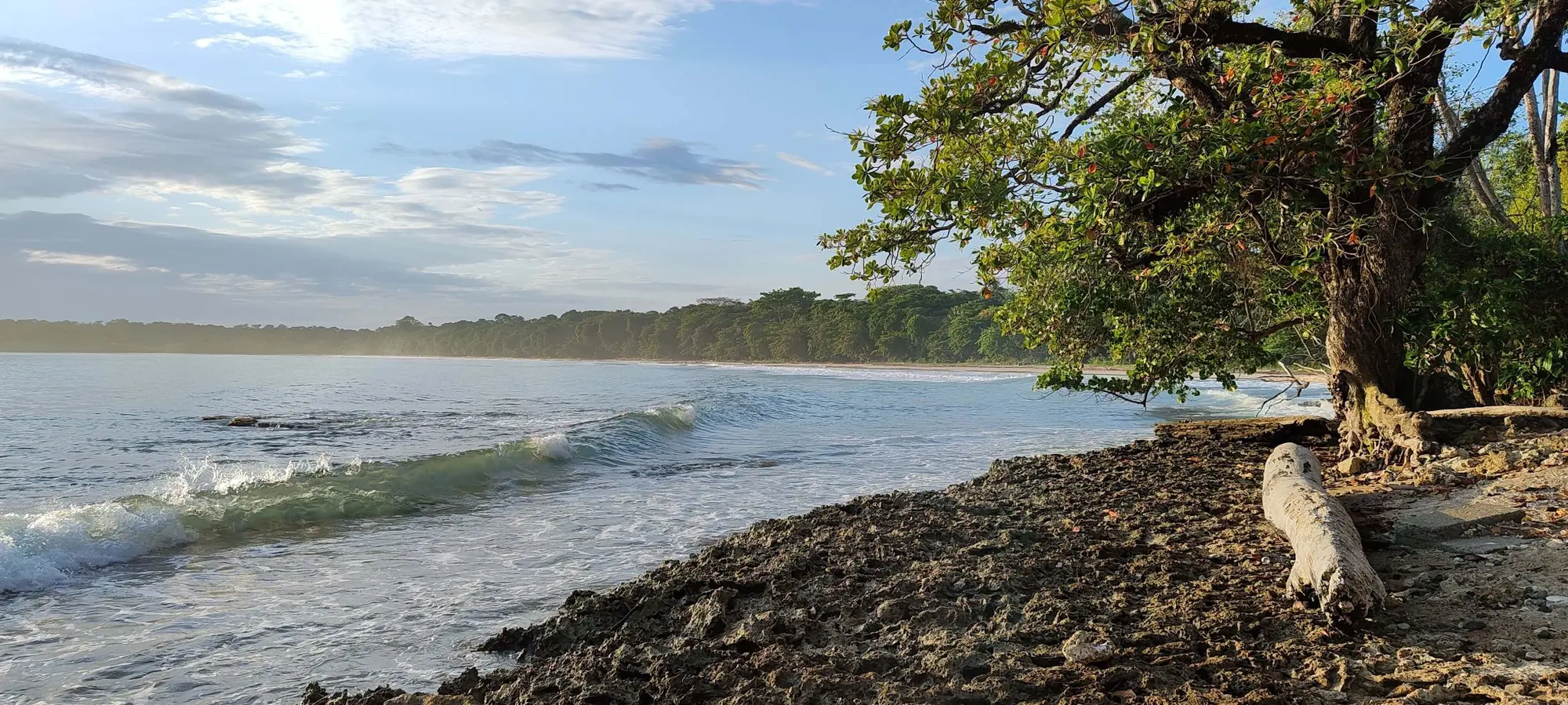 Caribbean coastline beside Cahuita National Park