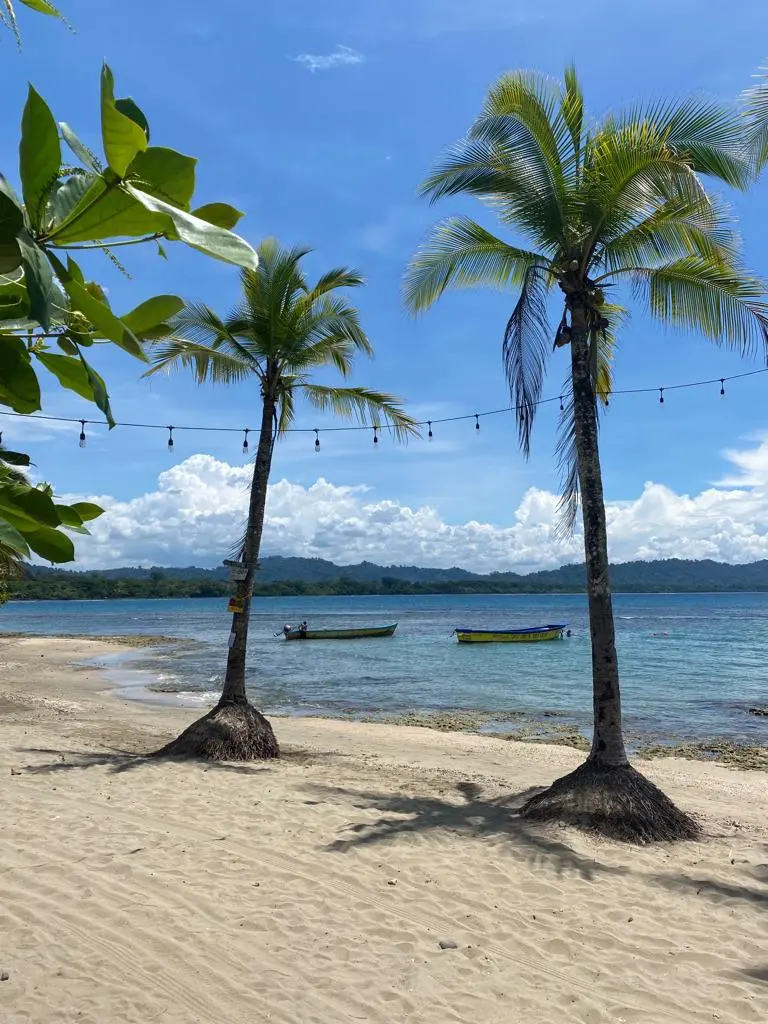 Palm trees, sand and small boats by Cahuita National Park