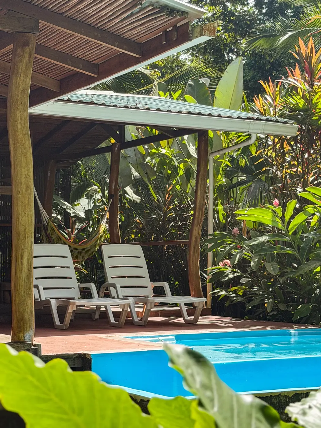 Private pool with sun loungers surrounded by tropical plants