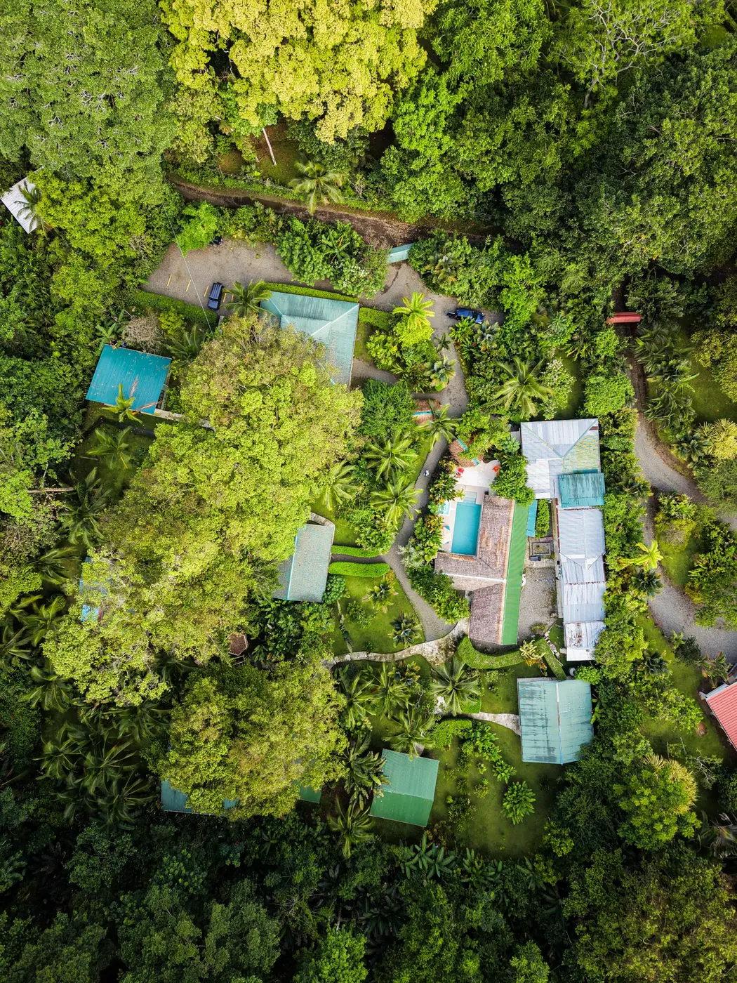 Aerial view of La Rana de Cahuita surrounded by tropical jungle