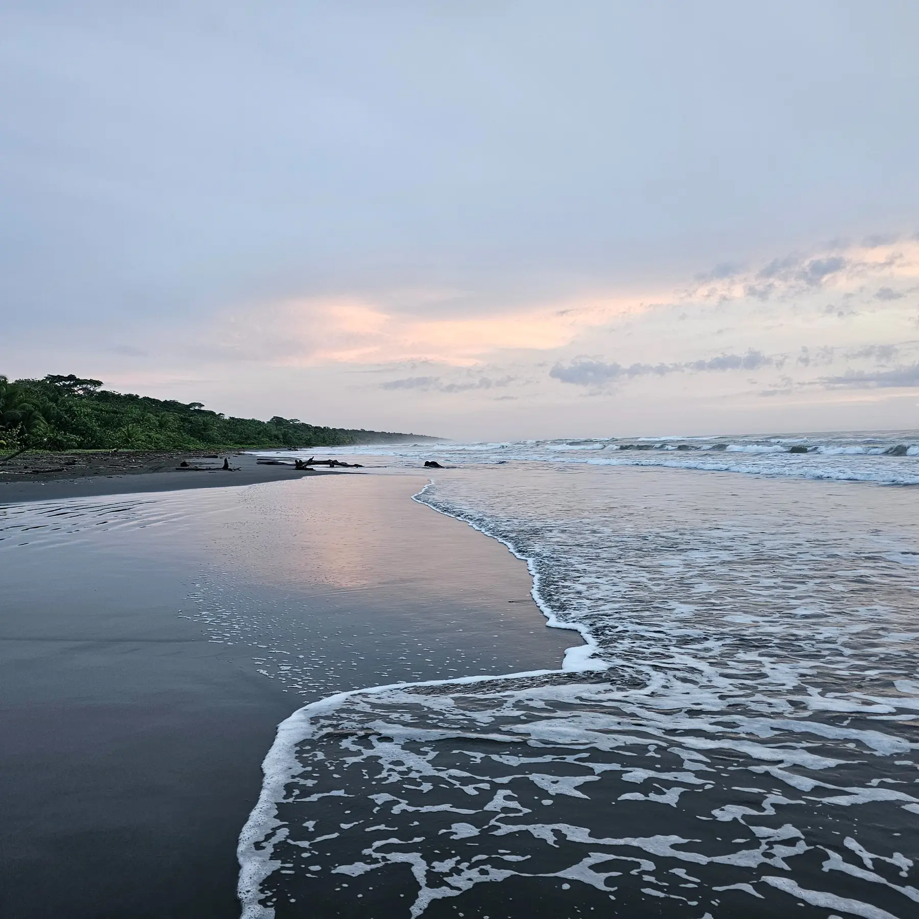 The quiet dark-sand shoreline of Playa Grande near La Rana de Cahuita